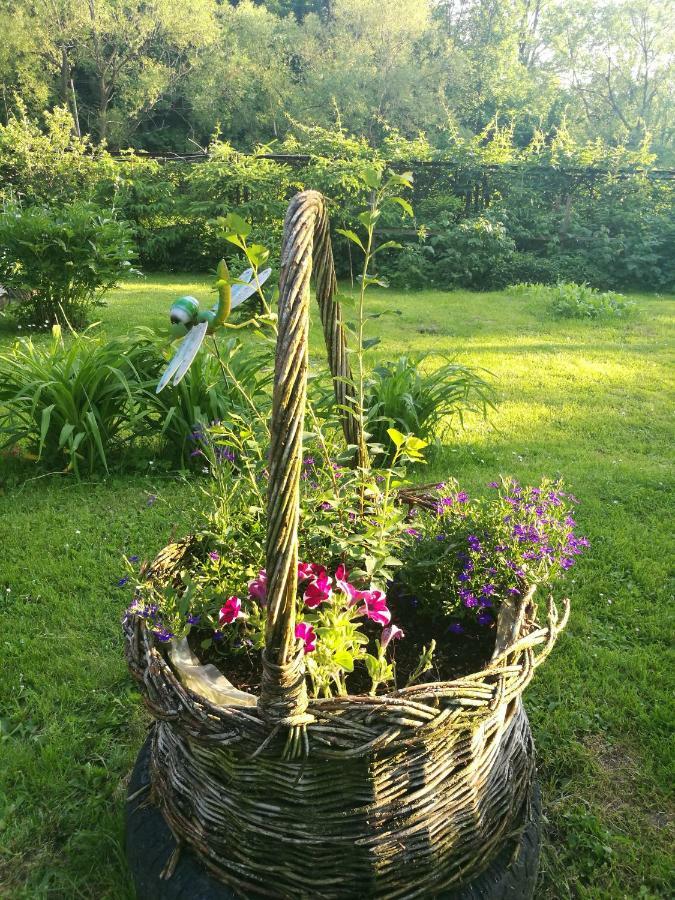 Farm stay Bieszczadzki Zakatek :-)