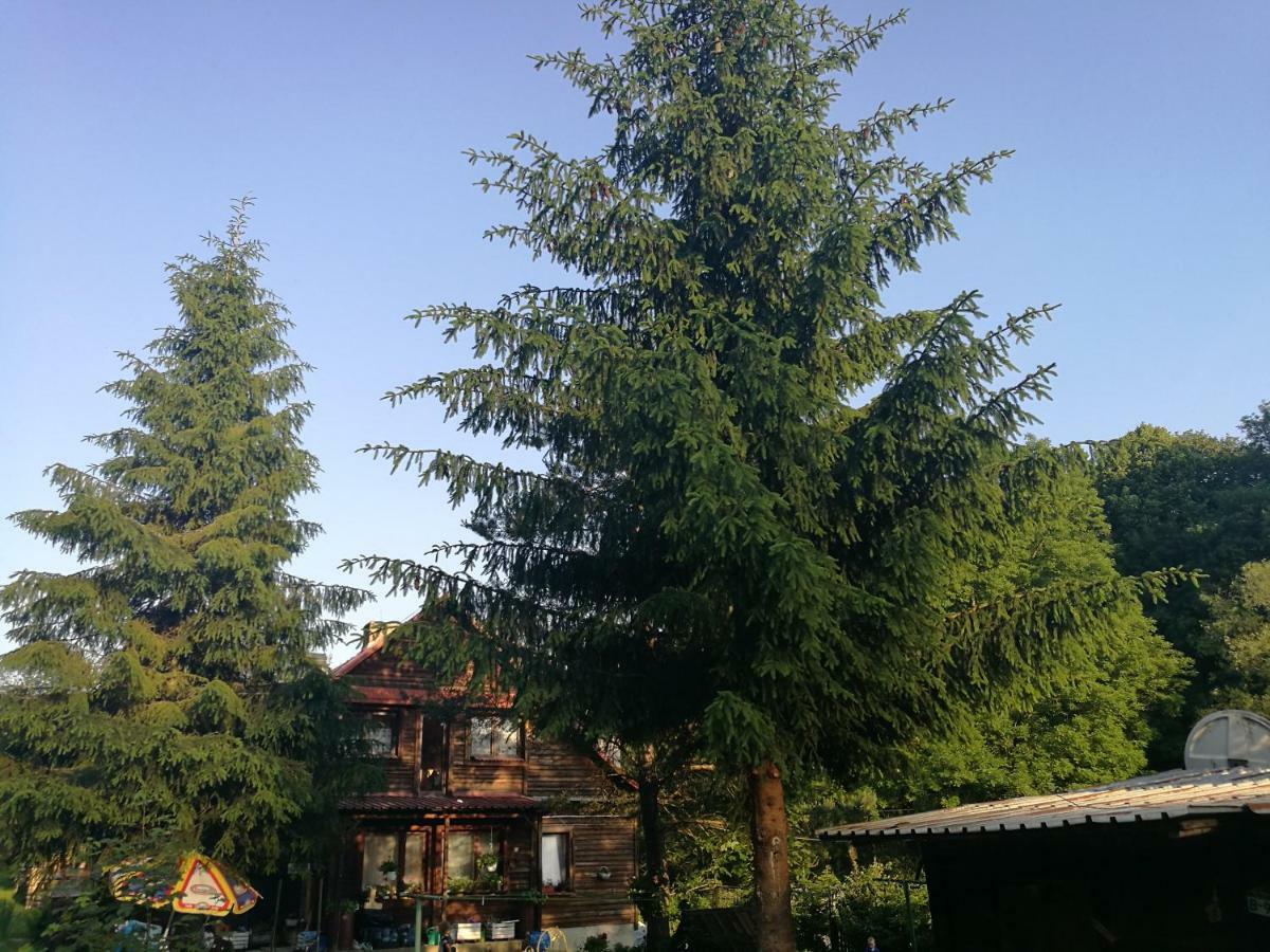 Bieszczadzki Zakatek :-) Farm stay *