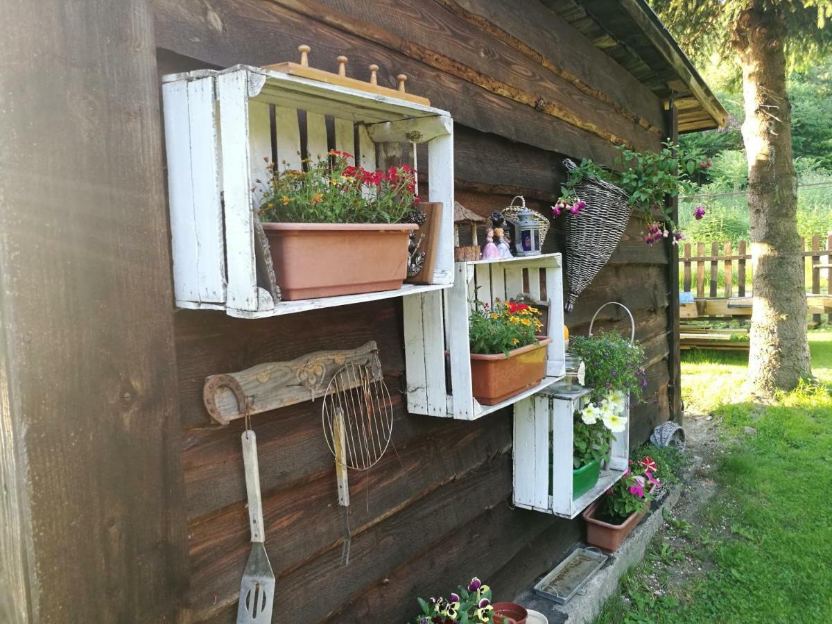 Bieszczadzki Zakatek :-) Farm stay
