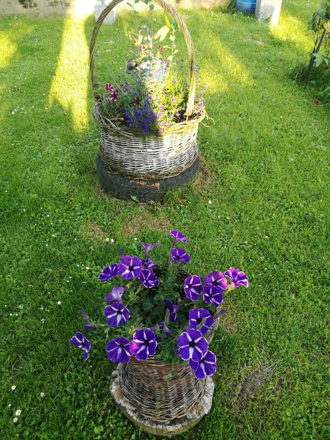 Bieszczadzki Zakatek :-) Farm stay